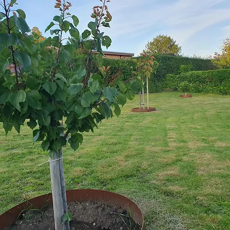 Guest house House In Munkebo